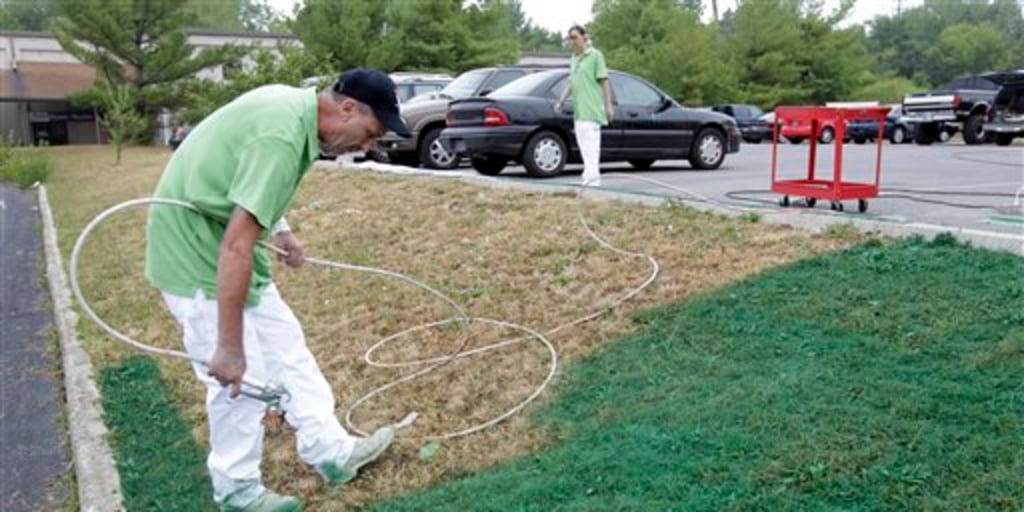 Lawn turning brown Call the turf painters